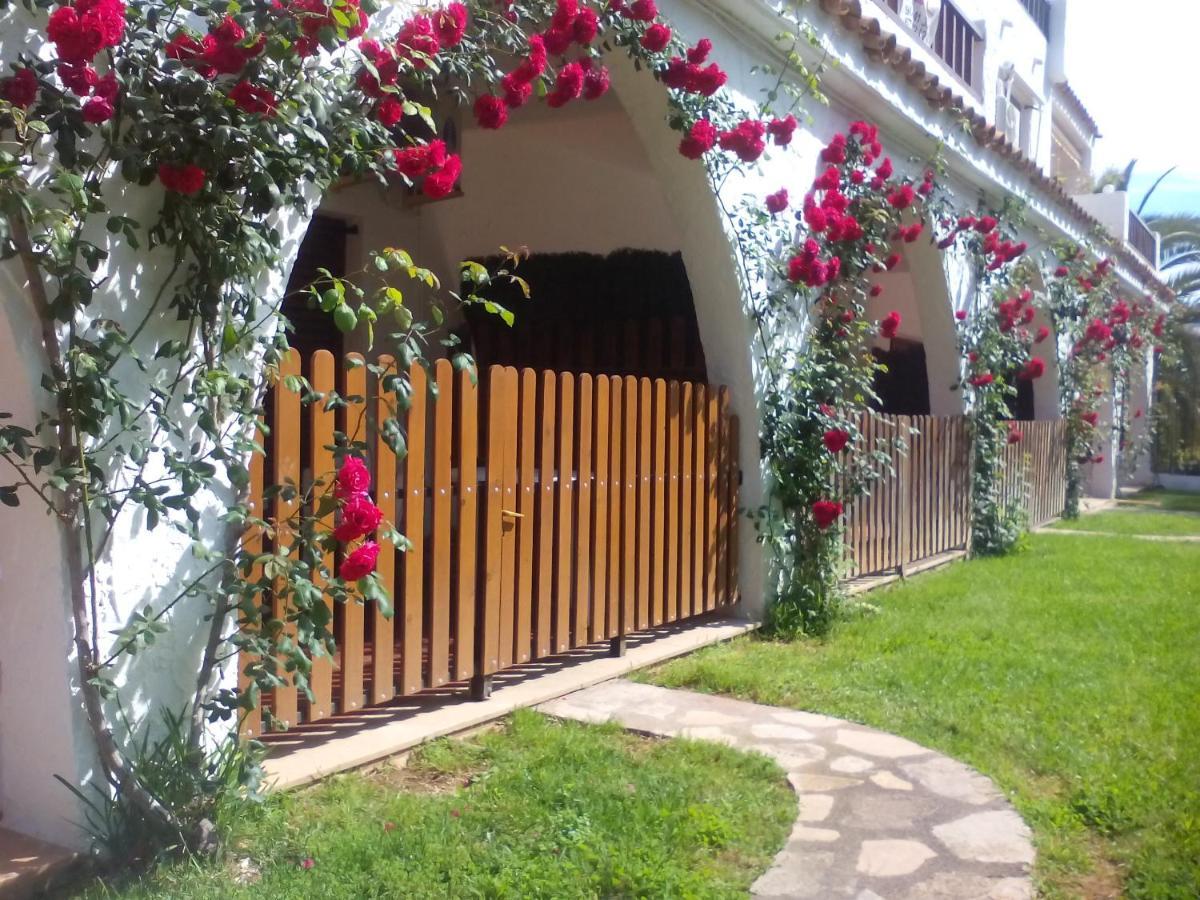 Apartamentos Alcossebre "El Faro Apartaments Alcossebre" Piscina, Playa Y Diversion 外观 照片