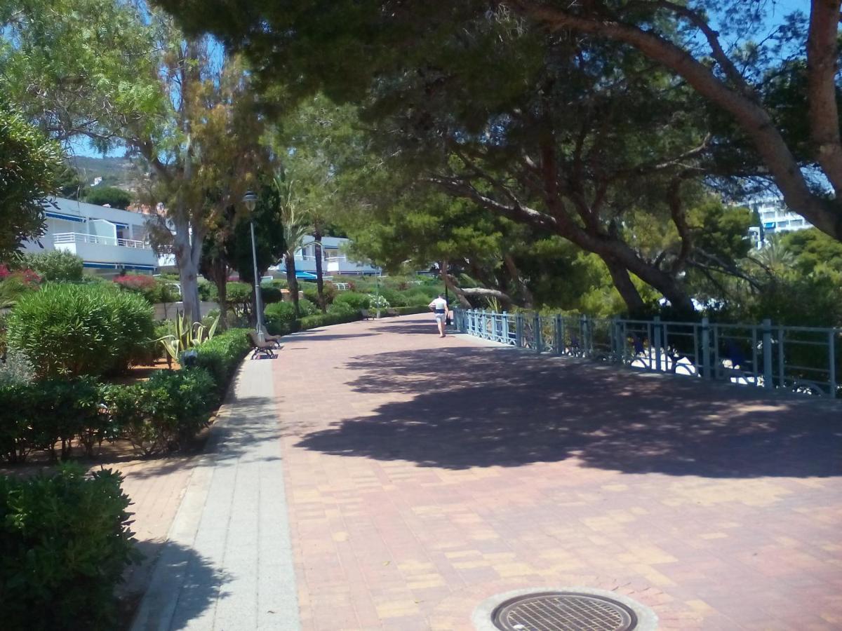 Apartamentos Alcossebre "El Faro Apartaments Alcossebre" Piscina, Playa Y Diversion 外观 照片
